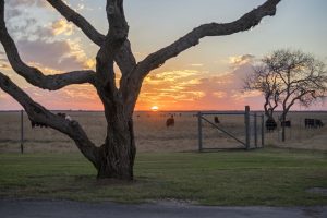 7 Kid-Friendly Activities for Family Fun in Big Lake, TX